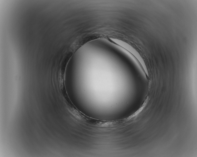 X0000115580186200911171017