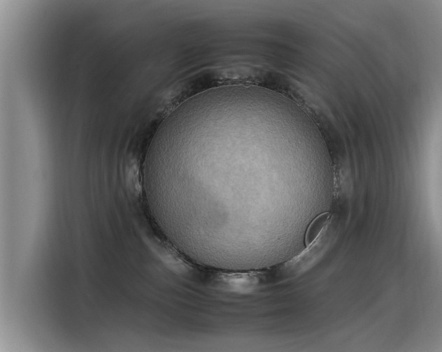 X0000115580187200911171017