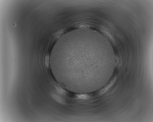 X0000115580189200911171017