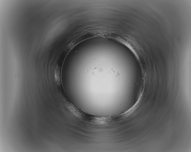 X0000115580190200911171017