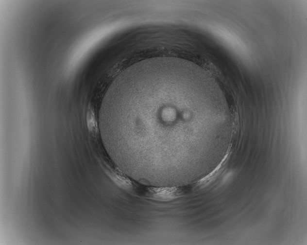 X0000115580191200911171017