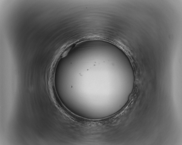 X0000115580193200911171016