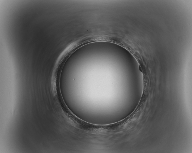 X0000115580197200911171016