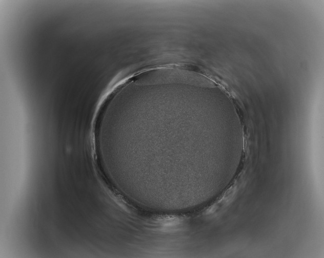 X0000115580198200911171016