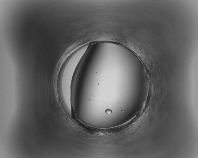 X0000115580199200911171016