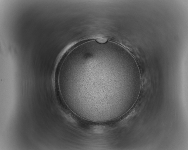 X0000115580200200911171016