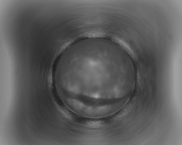 X0000115580202200911171016