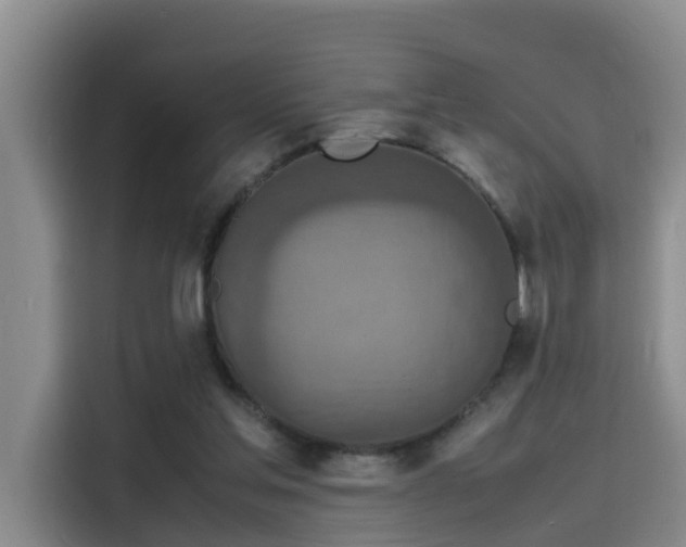 X0000115580205200911171016