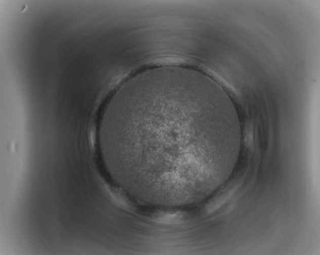 X0000115580206200911171016