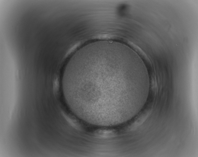 X0000115580208200911171016