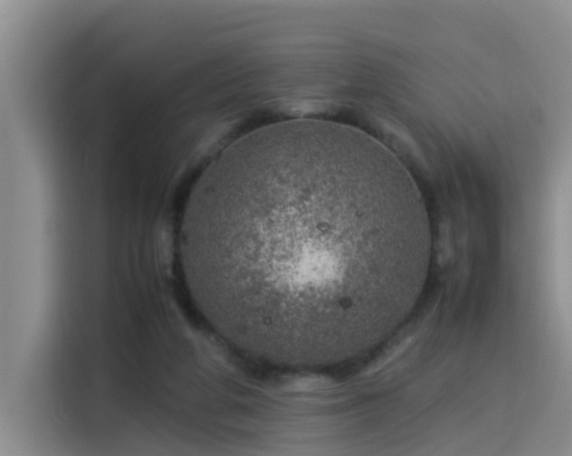 X0000115580210200911171016