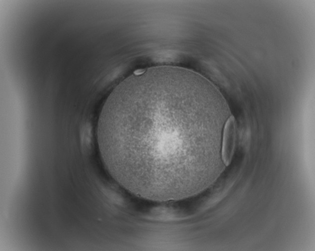 X0000115580211200911171016