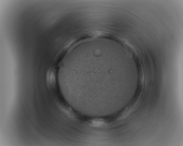 X0000115580214200911171016