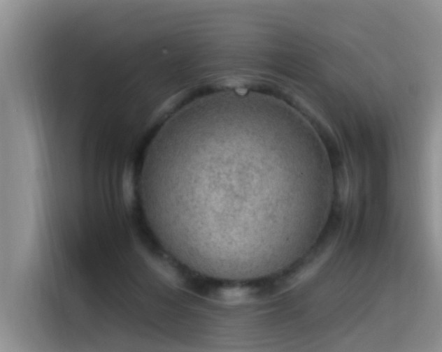 X0000115580216200911171016