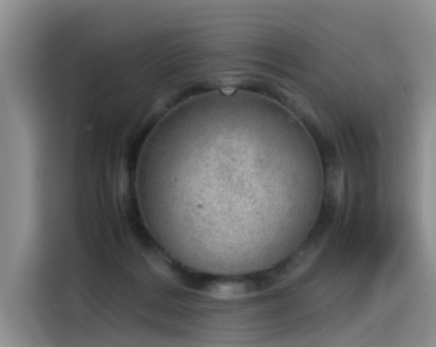 X0000115580220200911171016