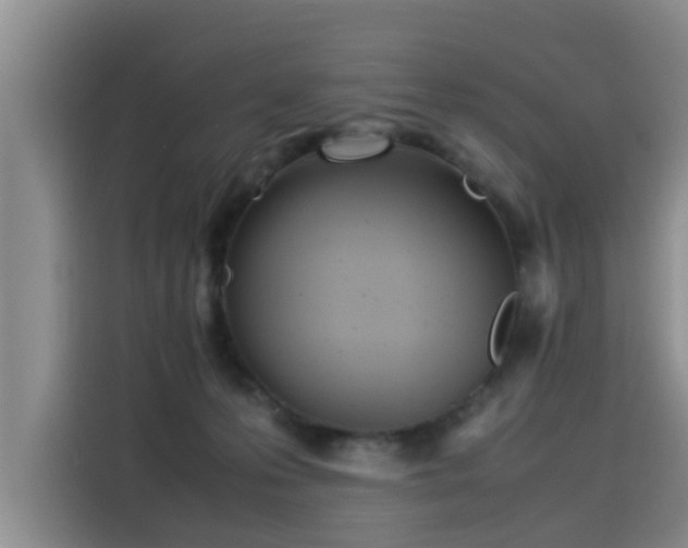 X0000115580223200911171016