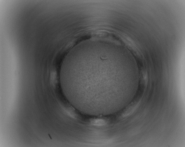 X0000115580224200911171016