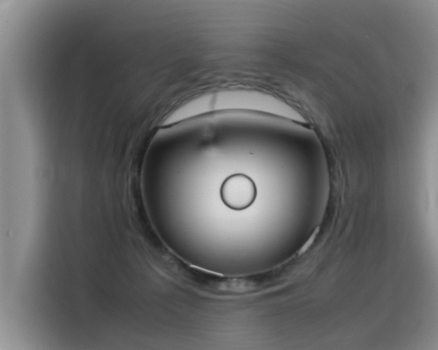 X0000115580225200911171016