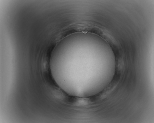 X0000115580226200911171016