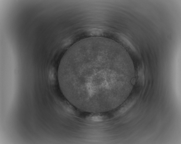 X0000115580228200911171016