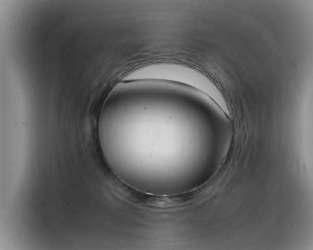 X0000115580229200911171016