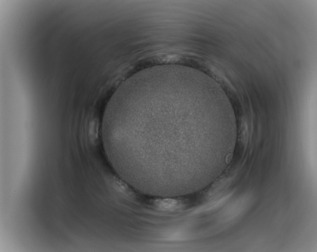 X0000115580230200911171016