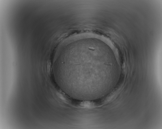 X0000115580231200911171016