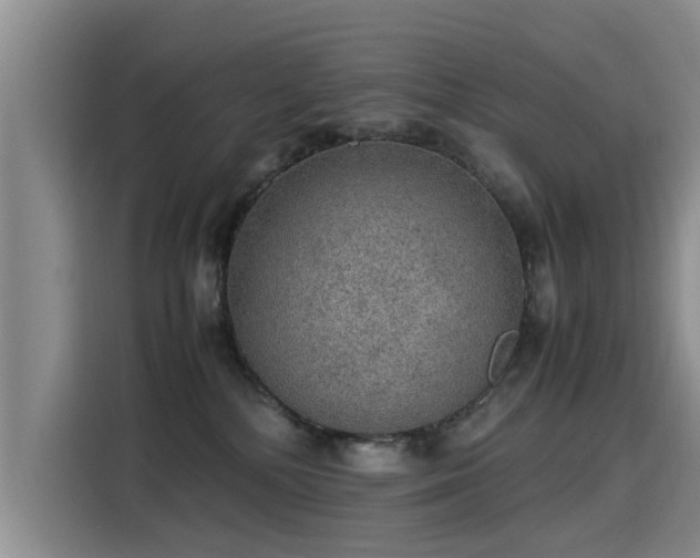 X0000115580232200911171016