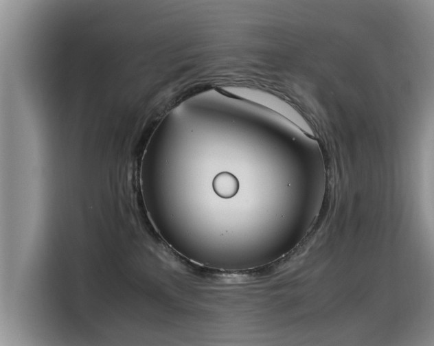 X0000115580233200911171016