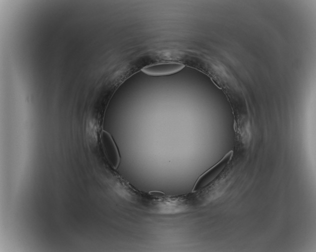 X0000115580235200911171016