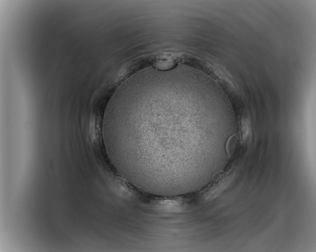 X0000115580236200911171016