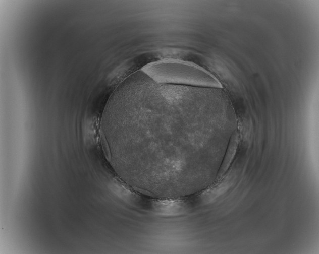 X0000115580237200911171016