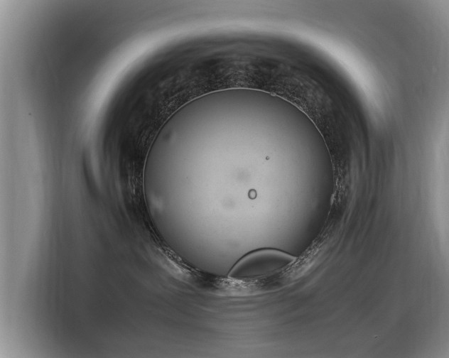 X0000115580239200911171016