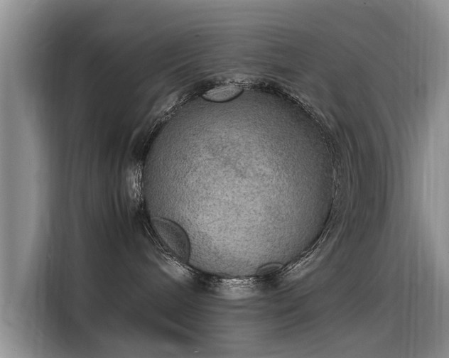 X0000115580240200911171016