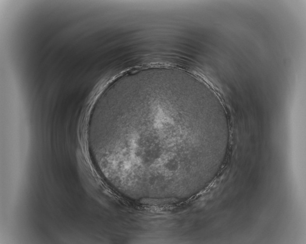 X0000115580241200911171015