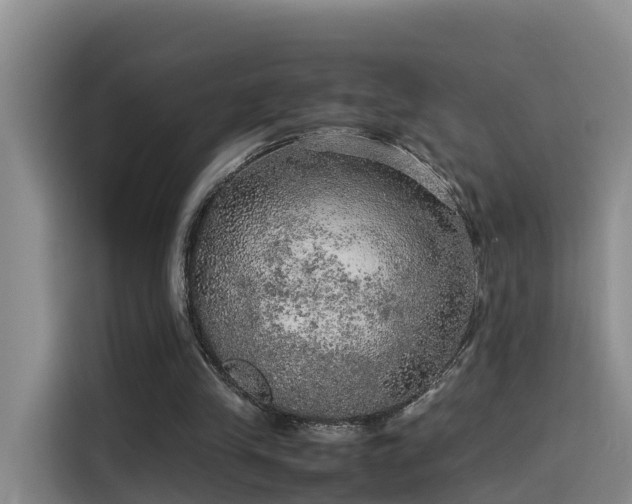 X0000115580245200911171015