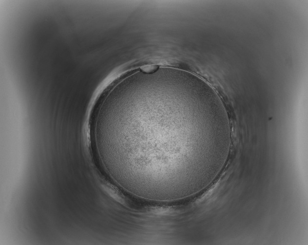 X0000115580246200911171015