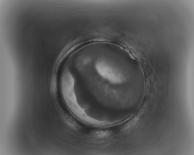 X0000115580247200911171015