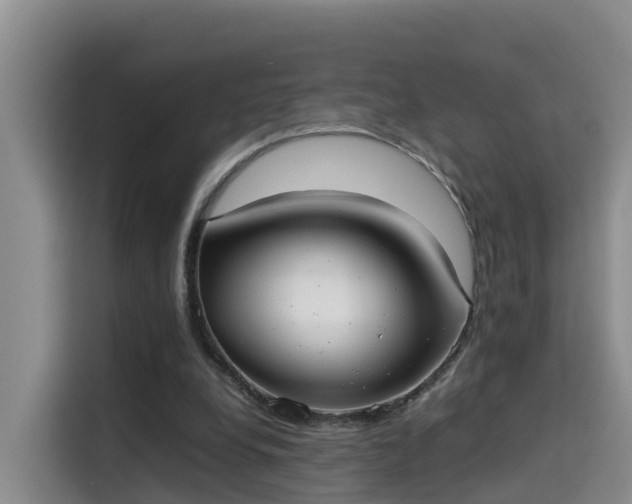 X0000115580248200911171015