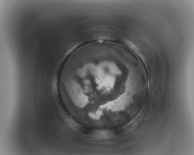 X0000115580249200911171015