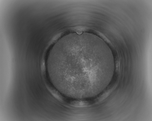 X0000115580254200911171015