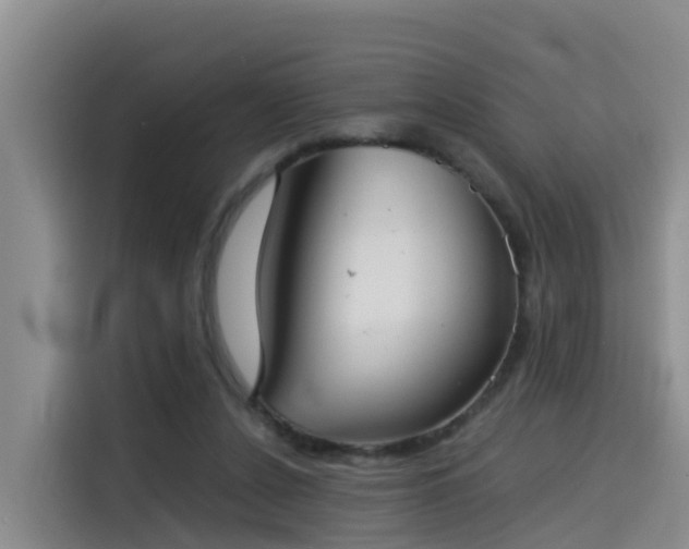 X0000115580256200911171015