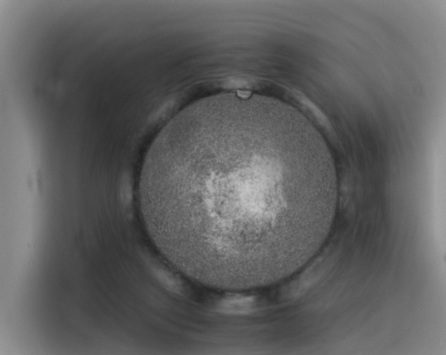 X0000115580257200911171015