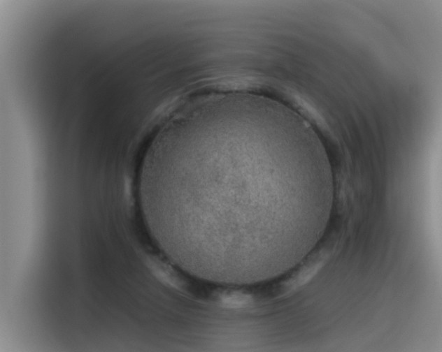 X0000115580258200911171015