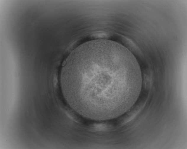 X0000115580259200911171015