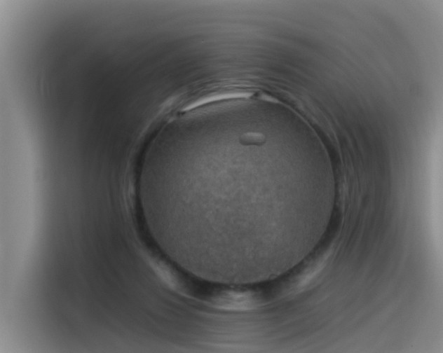 X0000115580260200911171015