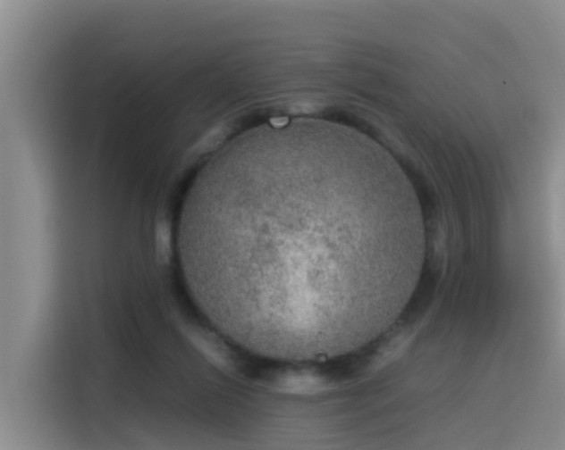 X0000115580262200911171015