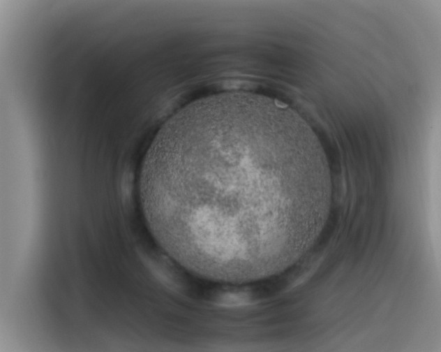 X0000115580263200911171015