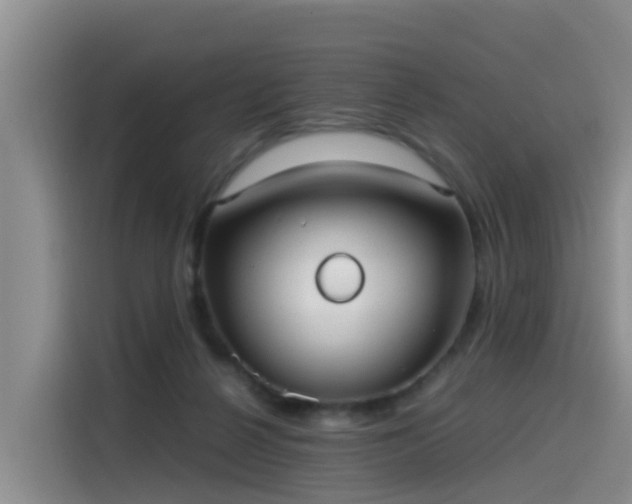 X0000115580264200911171015