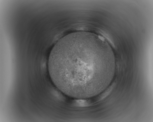 X0000115580265200911171015